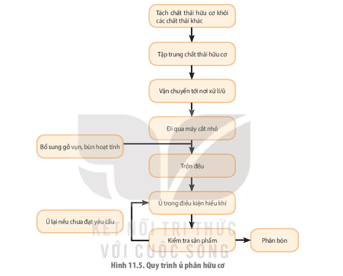 Dựa vào thông tin về quy trình ủ phân hữu cơ